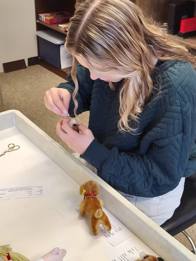 Aubrey Peot adding object numbers to collections items during her internship